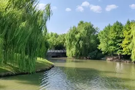 在赵巷公园里，孩子们邂逅了一场智能机器人的探秘之旅图片