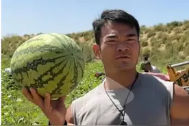 李维刚帮卖西瓜，爱心扶贫，助农正能量，暖心双赢图片