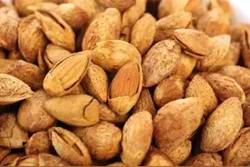 巴旦木是一种怎样的果树图片