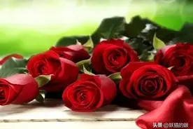 520咋成了情人节，啥来历？现在节日真多，天天傻傻地被人带节奏图片