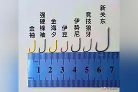 野钓用什么钩能大小通吃？袖钩和伊势尼先排除，这3种尚可一试图片