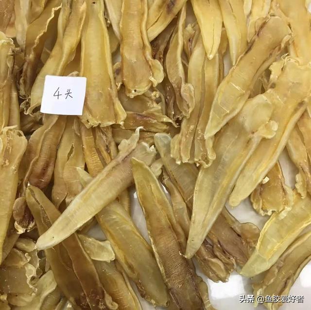 北海花胶种类图片 2026年北海花胶功效作用