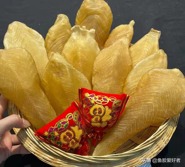 双芽鱼胶价格 2026年双芽鱼胶价格多少一斤