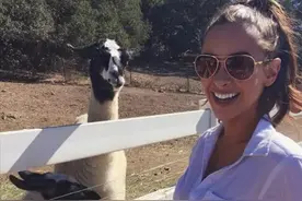 澳大利亚留学生哭着回国，直言每天上演动物世界，再也不想去了！图片