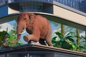 欺骗你的双眼！裸眼3D大屏背后隐藏了哪些小秘密？图片