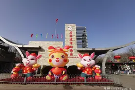 石家庄市动物园玉兔报春迎新年图片