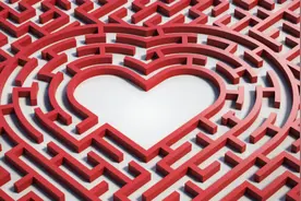 世纪佳缘，走入歧路图片