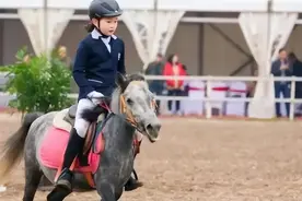 人大附中老师坦言，北京孩子的起点是80%孩子的终点，现实又扎心图片