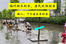 下水道出来的鱼？福州大雨后，居民堵在排水口抓鱼，网友热议图片