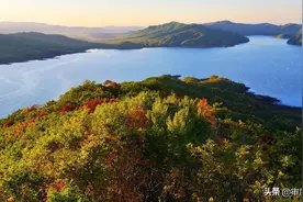 1994年木星人来地球避难？孟照国事件真假难定，但他通过了测谎图片