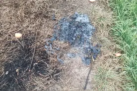 求解一些“阴阳风水先生”的操作图片