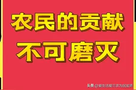 我为农民发声：农民到底有没有贡献？咱们用事实说话图片