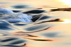 周易八卦万物类象（六、坎卦）图片