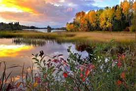 投资华为产业链图片