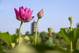 在浙江，社保、医保和公积金 办理的几个渠道图片