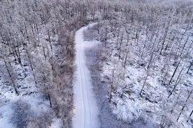 2022年蔬菜种植计划：300平米小菜园种植50种蔬菜图片