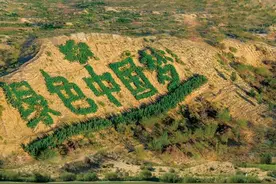 孙国友耗尽千万家财沙漠种树万亩，到头来“跪地求水”图片