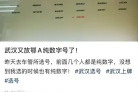 鄂A纯数字号牌大量发放？交警回应图片