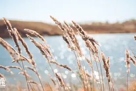 《皮囊》：一个人痛苦的根源，欲望太多图片