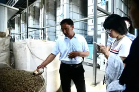 江都丁伙镇新庄村第一书记谈有林：从“麦客”到“科技种田”书记图片