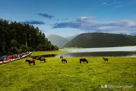 香格里拉：神秘文字、奇特宗教以及一个现实中的避难所图片