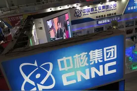央企-中国核工业集团有限公司2020年度薪酬情况图片