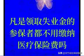 领取失业金的参保者都不用缴纳医疗保险费吗图片