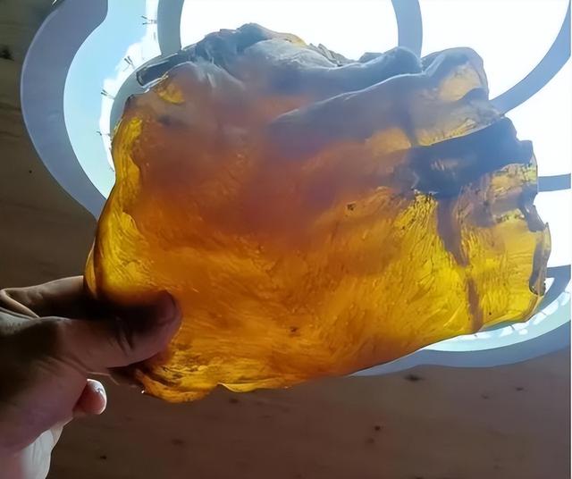 鱼胶大概什么价格 2026年鱼胶大概什么价格能买到