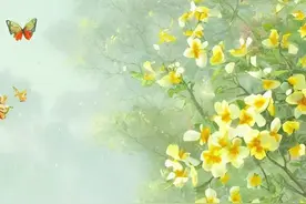 古典词库｜24节气的斗转星移，悄无声息的经历自然世纪图片