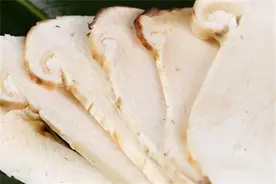 新鲜松茸怎么冷冻保存？新鲜松茸的处理及保存方法图片