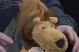 车主注意！车牌也能“过户”啦！只要满足这个条件……图片