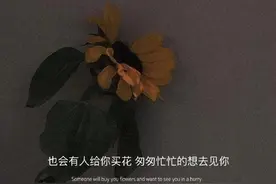 情绪文案｜“从此山水不相逢，莫问良人长与短”图片