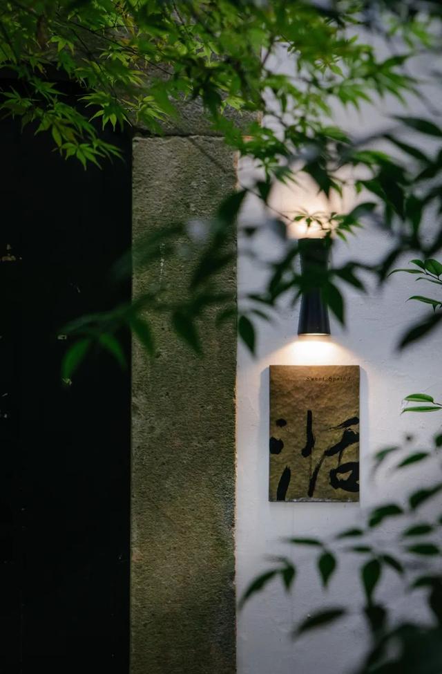 川贝炖花胶 2026年花胶川贝瘦肉的做法