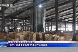 册亨：木渣变废为宝 打造林产业升级版图片