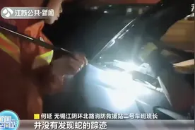 江阴：长蛇钻进汽车引擎盖 消防员上演“抓蛇记”图片