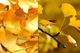 人的这一生有多少坎坷图片