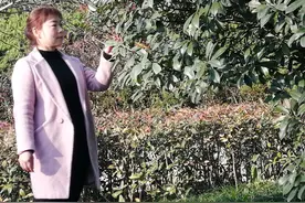 新浪博客、头条信息将要没落了吗？图片