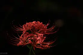 其实生活就是自己哄自己图片