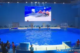 石家庄动物园极地海洋世界 “五一”携惊喜而来图片