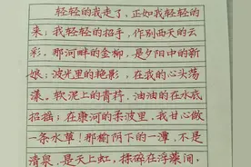 如何提高硬笔楷书快写的字体书法功底图片