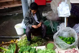 摆摊卖菜赚钱吗？工作环境看似脏乱差，有人年收入却上亿图片