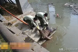 2020年江苏17岁男高中生被逼跳河自杀，父母怒将其班主任告上法庭图片