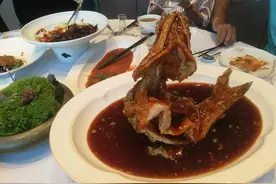 有一种中药材是皇帝的名字图片