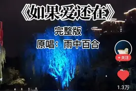 一曲《如果爱还在》，林忆莲唱出了沧桑，雨中百合唱尽了无奈图片