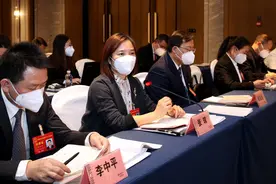 省人大代表张琼建议 强健军工产业链，不断提升湖南国防装备创新能力图片