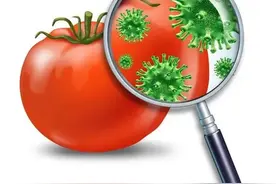 品检是做什么的，比普工强在哪里？图片