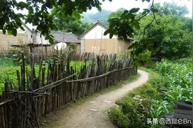 是地震的预兆吗？河南洛阳一村庄遭大量蛇入侵，躁动迹象有何寓意图片