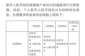 数字人民币使用体验及感想图片