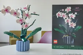 植物系列最佳，不输爆款花束！乐高10311兰花测评图片