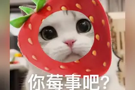 沙雕表情包：你没事吧？图片